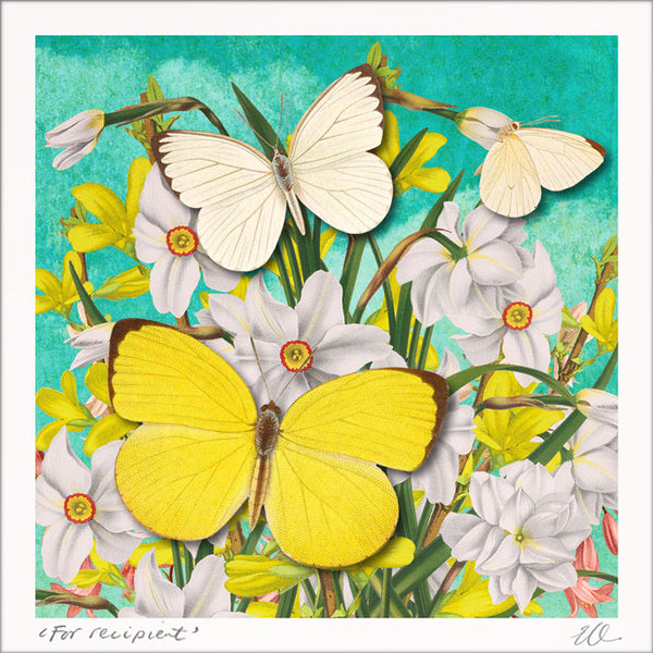 Narcissi & forsythia