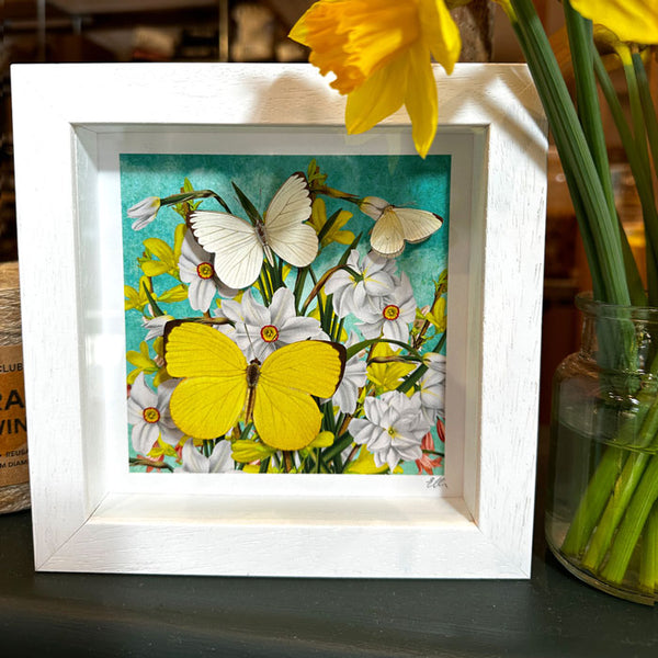 Narcissi & forsythia