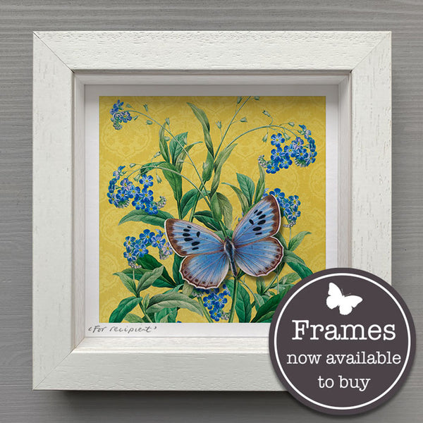 Floral - Forget-Me-Not