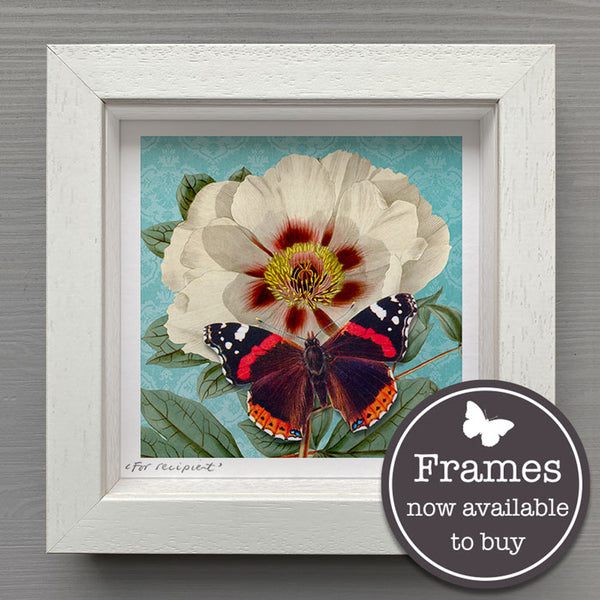 Floral - White Peony