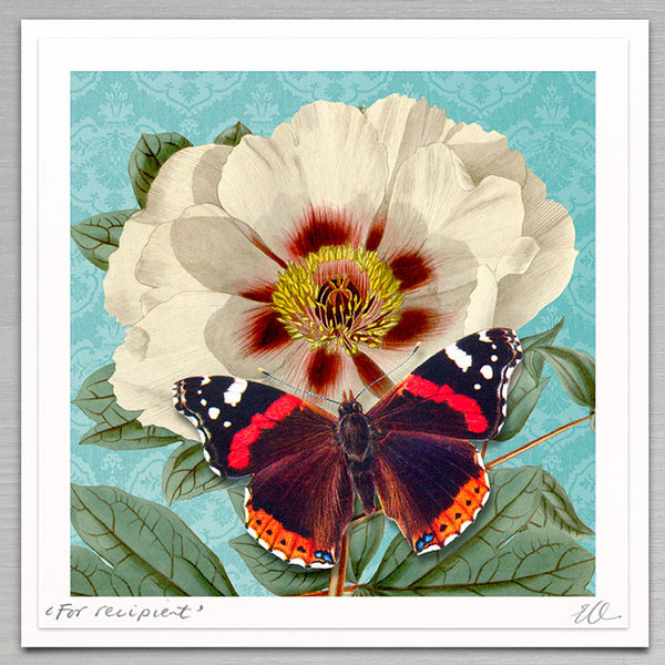 Floral - White Peony