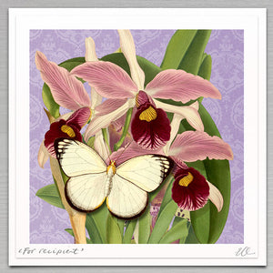 Floral - Orchids