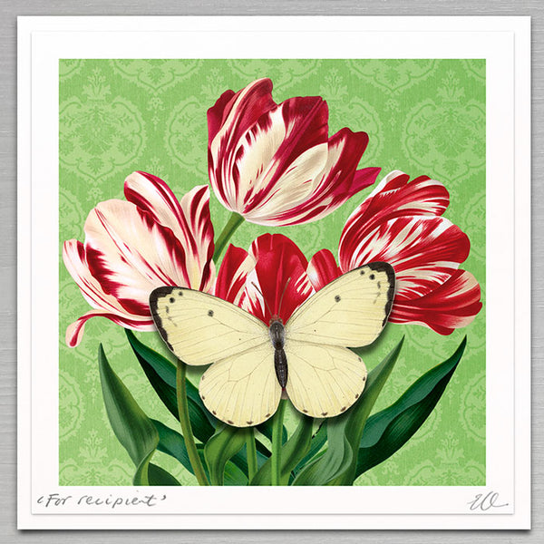 Floral - Tulips