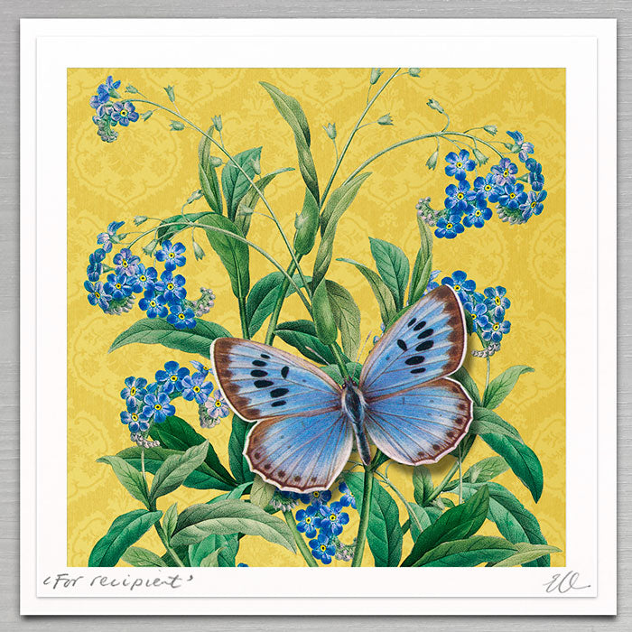 Floral - Forget-Me-Not