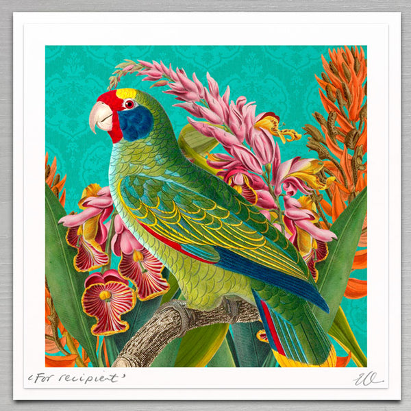 Father's Day - Tropical parrot I